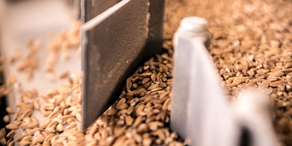 LA LAVORAZIONE DEI CEREALI